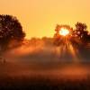 Sonnenkraft