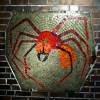 Spinne